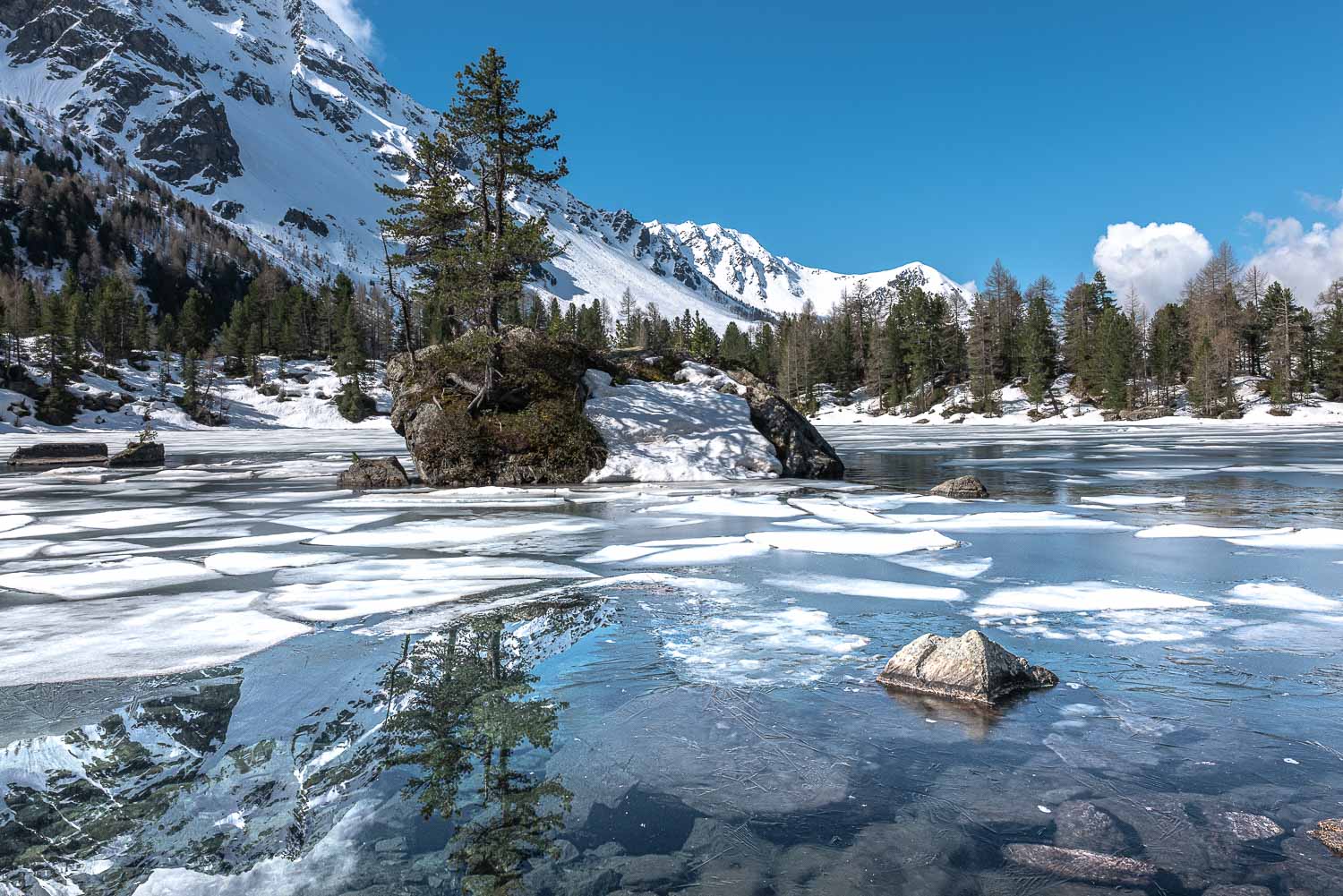 Die Schweiz ist nicht nur im Wasser transparent